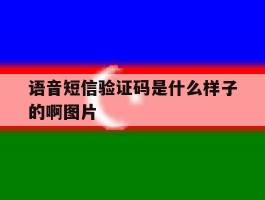 语音短信验证码是什么样子的啊图片的简单介绍