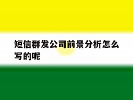 短信群发公司前景分析怎么写的呢