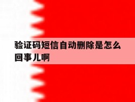 关于验证码短信自动删除是怎么回事儿啊的信息