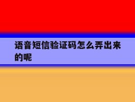 语音短信验证码怎么弄出来的呢