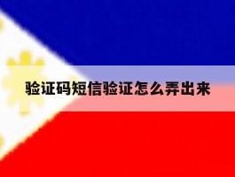 验证码短信验证怎么弄出来