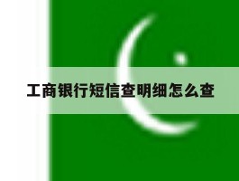 工商银行短信查明细怎么查