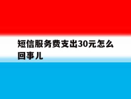 短信服务费支出30元怎么回事儿