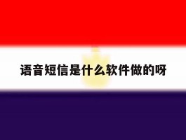 语音短信是什么软件做的呀