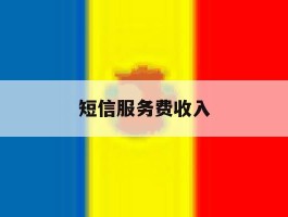 短信服务费收入