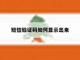 短信验证码如何显示出来