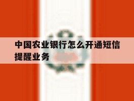 中国农业银行怎么开通短信提醒业务
