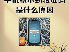 短信验证码不弹出显示怎么回事呢苹果手机