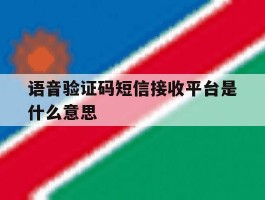 语音验证码短信接收平台是什么意思