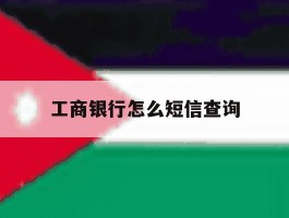 工商银行怎么短信查询