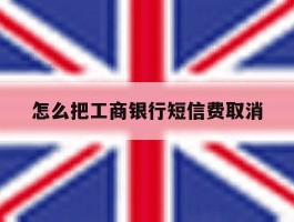 怎么把工商银行短信费取消