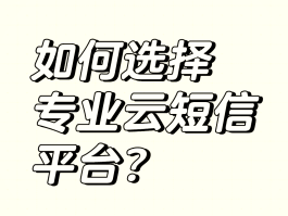 云短信服务商接口是什么意思啊