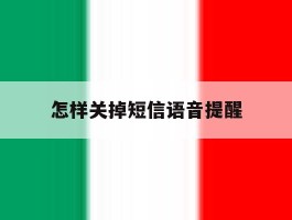 怎样关掉短信语音提醒