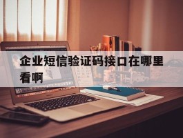 企业短信验证码接口在哪里看啊