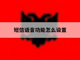 短信语音功能怎么设置