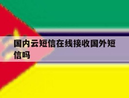 国内云短信在线接收国外短信吗