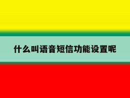 什么叫语音短信功能设置呢