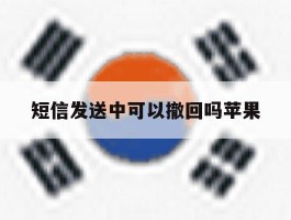 短信发送中可以撤回吗苹果