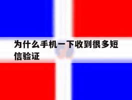 为什么手机一下收到很多短信验证