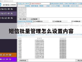 短信批量管理怎么设置内容