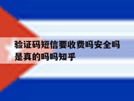 验证码短信要收费吗安全吗是真的吗吗知乎的简单介绍