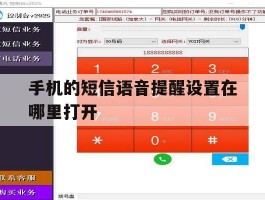 手机的短信语音提醒设置在哪里打开