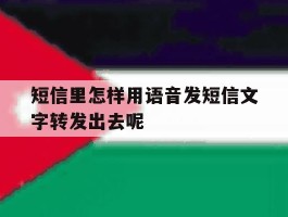短信里怎样用语音发短信文字转发出去呢