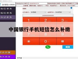 中国银行手机短信怎么补缴