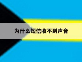 为什么短信收不到声音