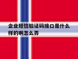 企业短信验证码接口是什么样的啊怎么弄