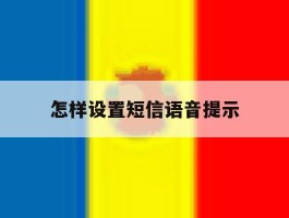怎样设置短信语音提示