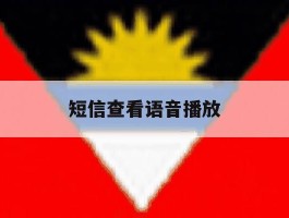 短信查看语音播放