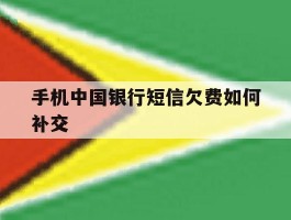 手机中国银行短信欠费如何补交
