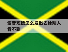 语音短信怎么发出去给别人看不到
