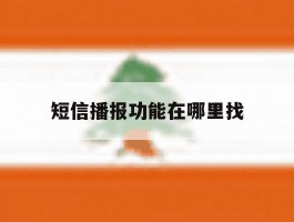 短信播报功能在哪里找