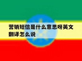 营销短信是什么意思呀英文翻译怎么说