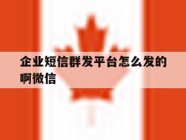 企业短信群发平台怎么发的啊微信