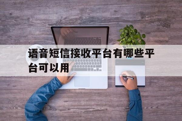 语音短信接收平台有哪些平台可以用 语音短信接收平台有哪些平台可以用