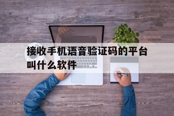 接收手机语音验证码的平台叫什么软件 接收手机语音验证码的平台叫什么软件