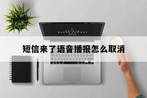 短信来了语音播报怎么取消 短信来了语音播报怎么取消