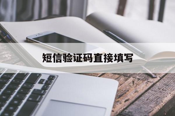 短信验证码直接填写 短信验证码直接填写
