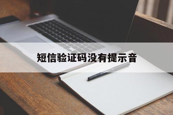 短信验证码没有提示音 短信验证码没有提示音