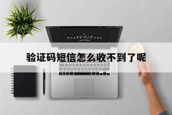 验证码短信怎么收不到了呢 验证码短信怎么收不到了呢