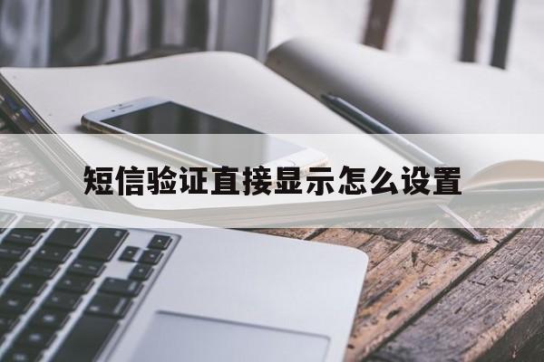 短信验证直接显示怎么设置 短信验证直接显示怎么设置