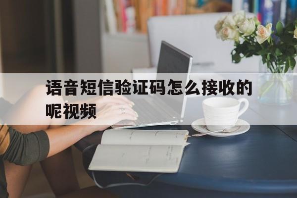 语音短信验证码怎么接收的呢视频 语音短信验证码怎么接收的呢视频