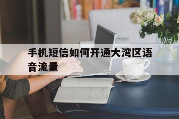 手机短信如何开通大湾区语音流量的简单介绍 手机短信如何开通大湾区语音流量的简单介绍