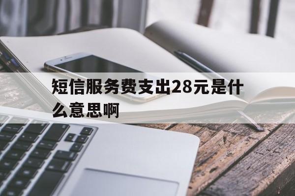 短信服务费支出28元是什么意思啊 短信服务费支出28元是什么意思啊