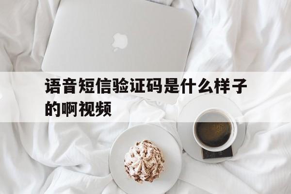语音短信验证码是什么样子的啊视频 语音短信验证码是什么样子的啊视频