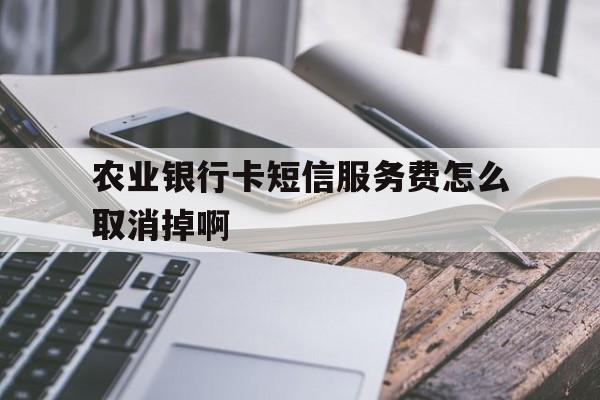 农业银行卡短信服务费怎么取消掉啊 农业银行卡短信服务费怎么取消掉啊