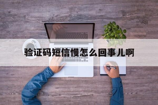 验证码短信慢怎么回事儿啊 验证码短信慢怎么回事儿啊